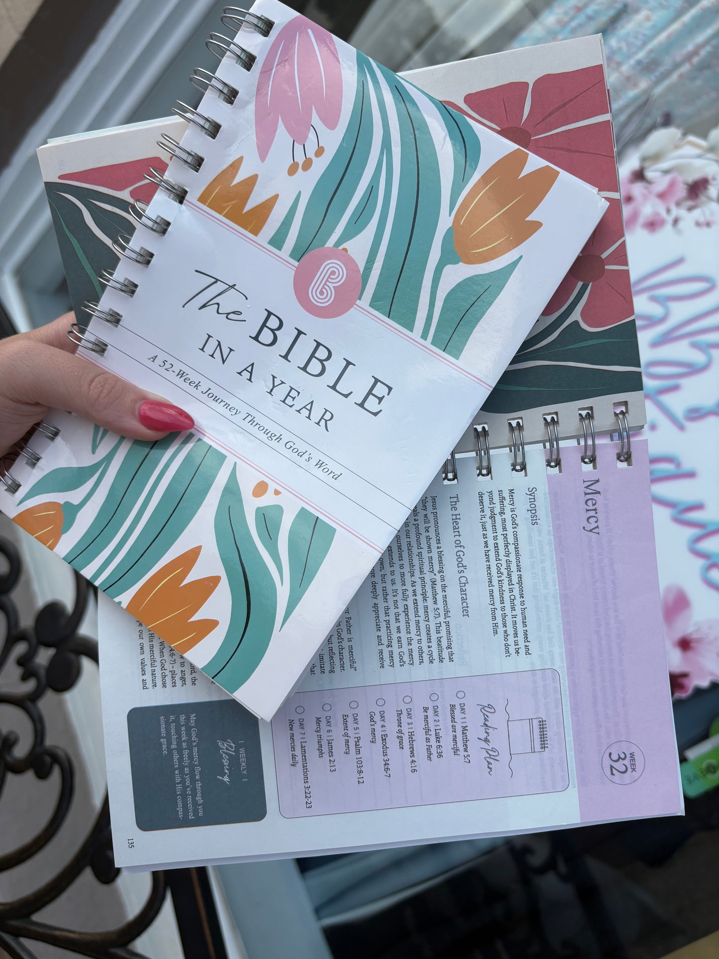 "The Bible in a Year" Notebook