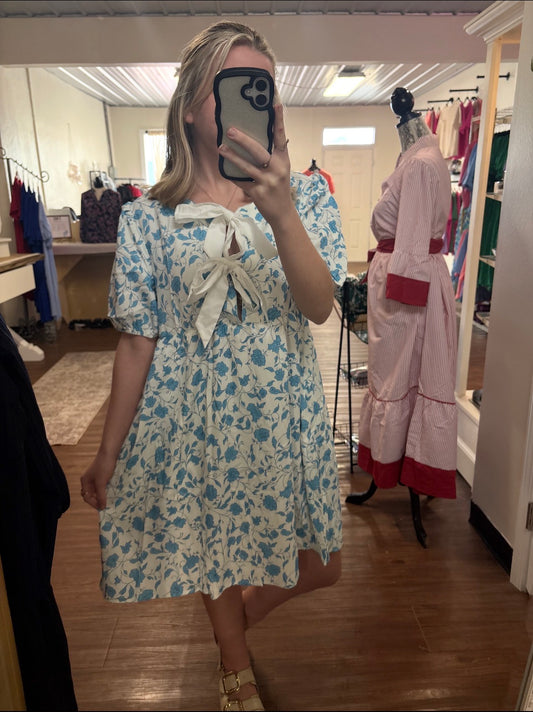 Blue Blossoms and Bows Mini Dress
