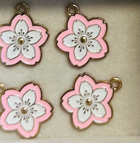 Pink & White Flower Petal